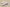 Nk Dunk Low Drunk Lemon Mojito SB Lace-up Low-top Casual Shoes