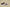 Nk Dunk Low Mocha Brown SB Lace-up Low-top Casual Shoes