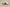 Nk Dunk Low Panda Prank-Jungle Crossing Forest Fruit SB Strap Low Top Casual Shoes