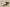 Nk Dunk Low Panda Prank-Jungle Crossing the Mountain to Please Yourself Mountain Color SB Strap Low Top Casual Shoes