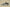 Nk Dunk Low Panda Prank Jungle Crossing Wilderness Ore Morandi Army Green Retro SB Strap Low Top Casual Shoes