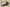 Nk Dunk Low Panda Prank Jungle Crossing Wilderness Ore Morandi Army Green Retro SB Strap Low Top Casual Shoes