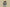 Nk Dunk Low Panda Prank Jungle Crossing Wilderness Ore Morandi Army Green Retro SB Strap Low Top Casual Shoes