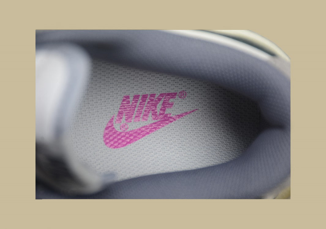 Nk Dunk Low SE Bubble Jellyfish Gray Island SB Strap Low Top Casual Shoes