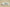 Nk Dunk Low Spring and Summer Series Green Tea White Green SB Low Top Casual Shoes