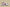 Nk Dunk Low Steam Puppet-Smoked Rose SB Strap Casual Shoes