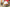 Nk Dunk Low Three Times Lab Gingerbread Man Cookie Flavor Almond Color SB Lace-up Low-top Casual Sneakers