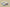 Nk Dunk Sb Low Retro Sb Custom Deconstructed Lace-up Casual Sneakers