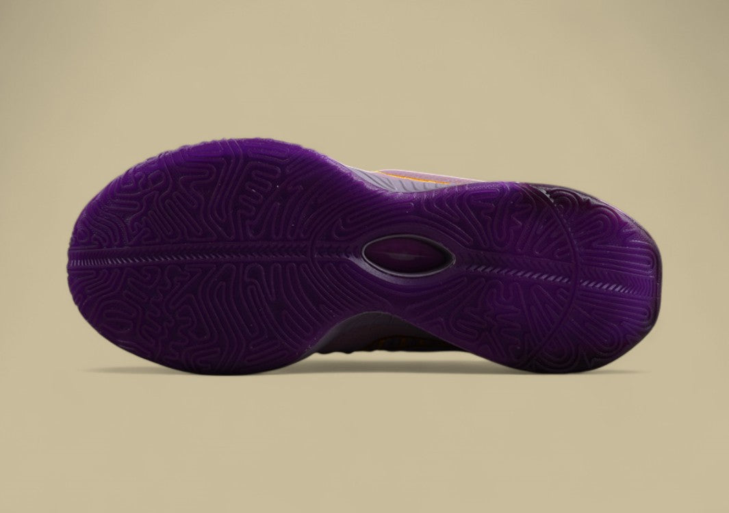 Nk LeBron XXI EP LeBron James Purple Pulse combat basketball shoes