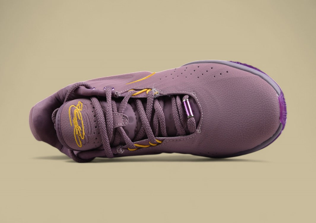 Nk LeBron XXI EP LeBron James Purple Pulse combat basketball shoes