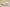 R36 Air Jordan 11 Retro Low " Pure Violet "
