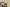 Sacai VaporWaffle 3.0 Tour Yellow Gold Blue Catwalk Heavy Joint