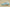 Sue Bird x Kyrie 8 Infinity Ep Keep Sue Fresh Sea Glass/Dynamic Turquoise/Gold