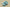Sue Bird x Kyrie 8 Infinity Ep Keep Sue Fresh Sea Glass/Dynamic Turquoise/Gold