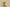 Travis Scott Joint Lemon Yellow Inverted Hook Max1 Air Cushion Shoes