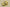 Travis Scott Joint Lemon Yellow Inverted Hook Max1 Air Cushion Shoes