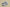 Yeezy 350 Coconut Black and White Leopard Print Hollow Silk Edition