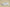 Yeezy 350 Coconut Black and White Leopard Print Hollow Silk Edition