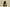 Yeezy 350 V2 Black Rubber Cost-Effective Edition