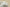 Yeezy 500 Bone White Crisp Coconut 500 in Classic White Tones