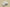Yeezy 500 Bone White Crisp Coconut 500 in Classic White Tones