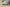 Yeezy 500 Salt Coconut 500 Sea Salt Colorway