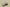 Yeezy 500 Salt Coconut 500 Sea Salt Colorway