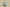 Yeezy 500 Salt Coconut 500 Sea Salt Colorway