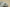 Yeezy 500 Salt Coconut 500 Sea Salt Colorway