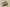 Yeezy 500 Taupe Light Chunky Retro Vibes with Ultimate Comfort