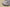 Yeezy 500 Taupe Light – Gray Brown Chunky Retro Dad Shoe by Kanye West
