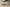 Yeezy 700 V3 "Azael" Coconut 700 Luminous Retro Daddy Shoes