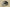 Yeezy 700 V3 "Azael" Coconut 700 Luminous Retro Daddy Shoes