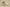 Yeezy 700 V3 "Azael" Coconut 700 Luminous Retro Daddy Shoes