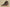 Yeezy 750 Boost OG Coconut High Top Dark Brown