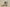 Yeezy 750 Boost OG "Grey Gum" Coconut High Top Luminous Gray
