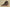 Yeezy 750 Boost OG High Top Dark Brown Coconut Replica