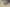 Yeezy Boost 350 V1 Kanye West First Generation Sneaker