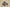 Yeezy Boost 350 V1 Kanye West First Generation Sneaker