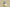 Yeezy Boost 350 V2 Ash Pearl