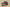 Yeezy Boost 350 V2 Coconut 350 Old Gray with Orange Starry Sky Accents