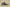 Yeezy Boost 350 V2 Coconut 350 Old Gray with Orange Starry Sky Accents