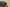 Yeezy Boost 350 V2 Coconut 350 Old Gray with Orange Starry Sky Accents
