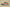 Yeezy Boost 350 V2 Coconut 350 Old Gray with Orange Starry Sky Accents