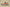 Yeezy Boost 350 V2 Coconut 350 Old Gray with Orange Starry Sky Accents