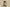 Yeezy Boost 350 V2 Coconut 350 Old Gray with Orange Starry Sky Accents