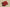Yeezy Boost 350 V2 Coconut Red Starry Sky Colorway