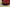 Yeezy Boost 350 V2 Coconut Red Starry Sky Colorway
