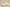 Yeezy Boost 350 V2 Cream/Triple White