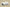Yeezy Boost 350 V2 Cream/Triple White